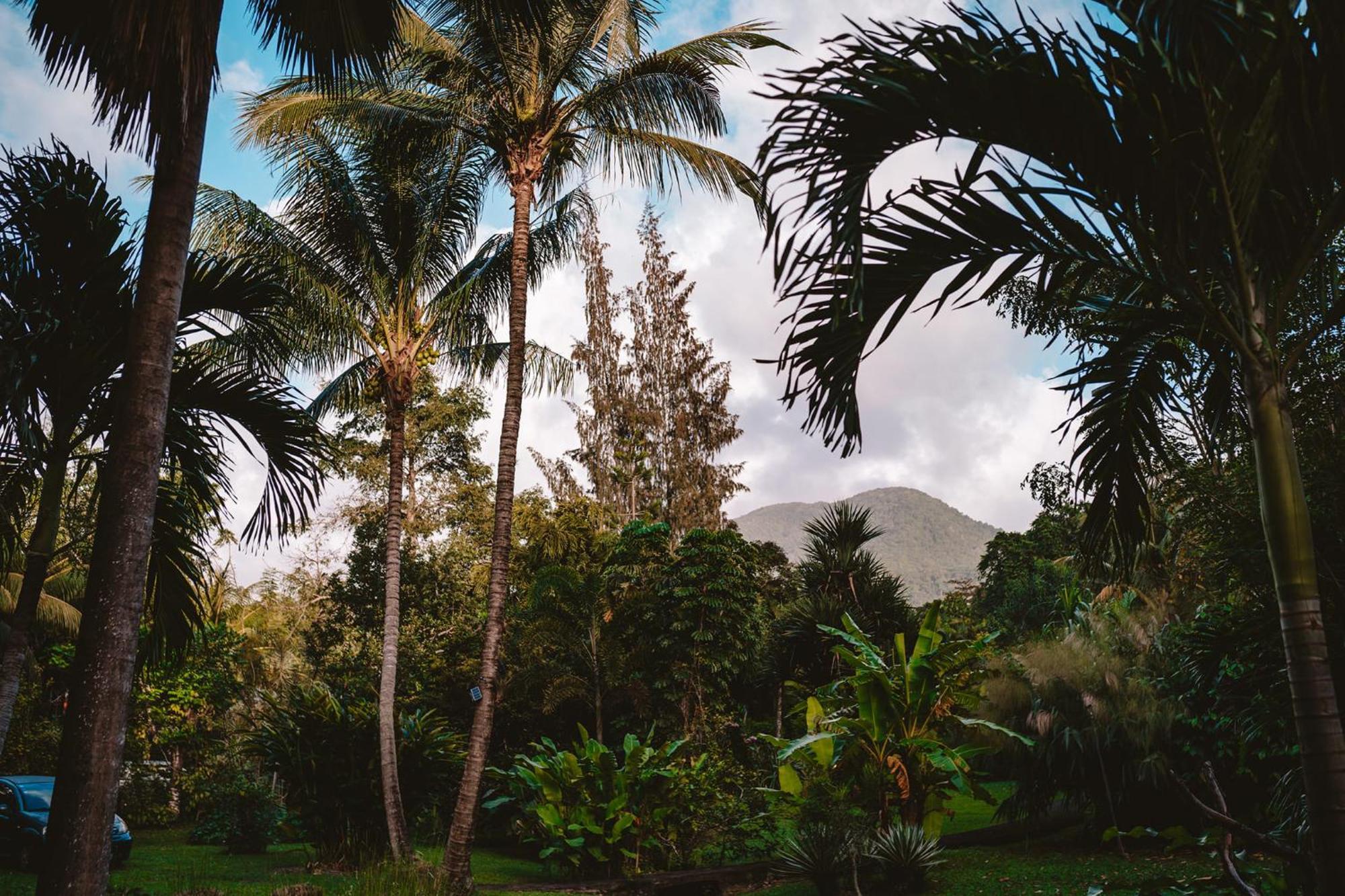 West Indies Cottage Pointe-Noire Esterno foto